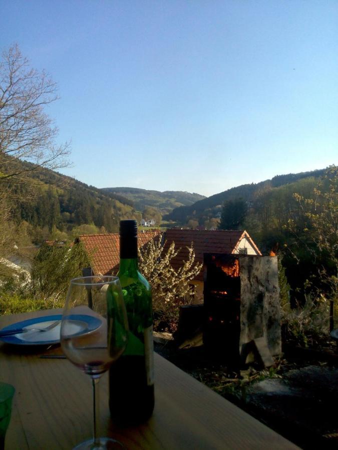 Fewo Pacohaus Naehe Willingen Diemelsee Brilon Exterior photo