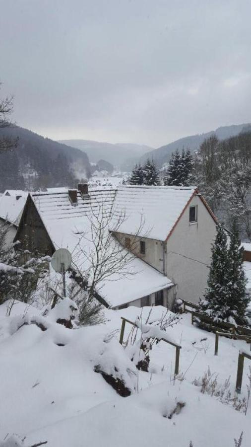 Fewo Pacohaus Naehe Willingen Diemelsee Brilon Exterior photo