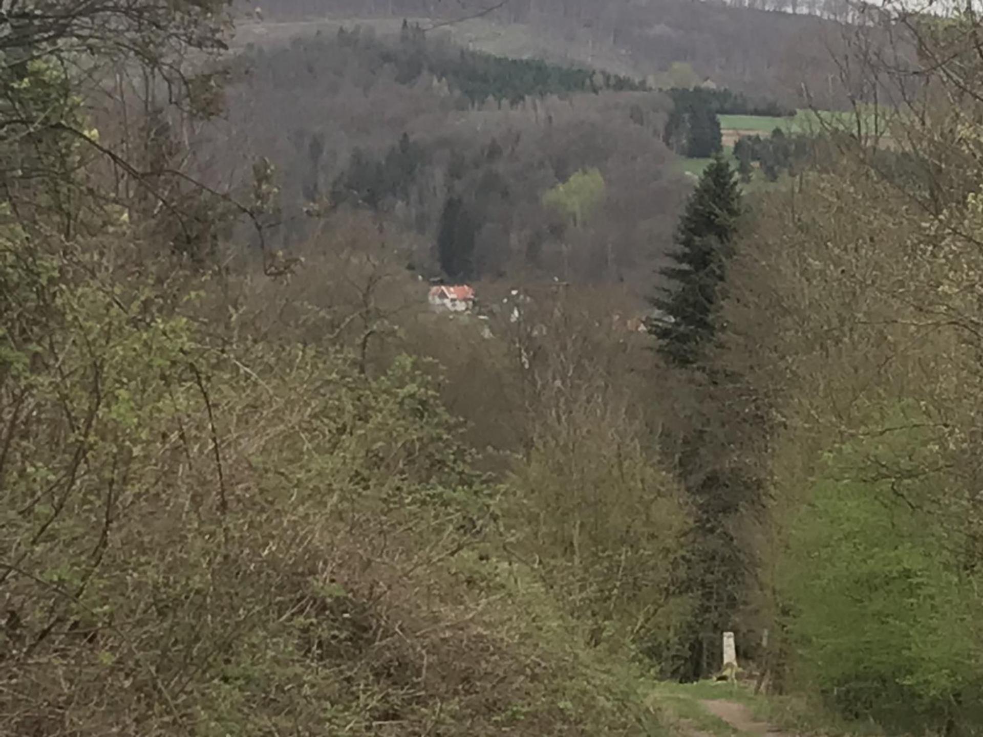 Fewo Pacohaus Naehe Willingen Diemelsee Brilon Exterior photo